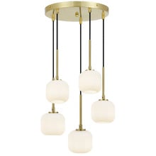 Elara Frosted Glass 5 Light Pendant